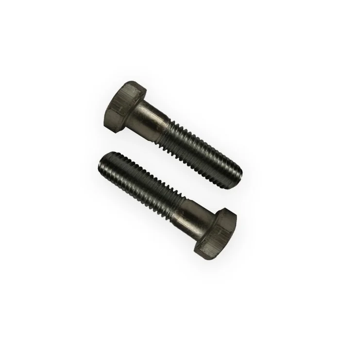 Tornillo Galvanizado 2